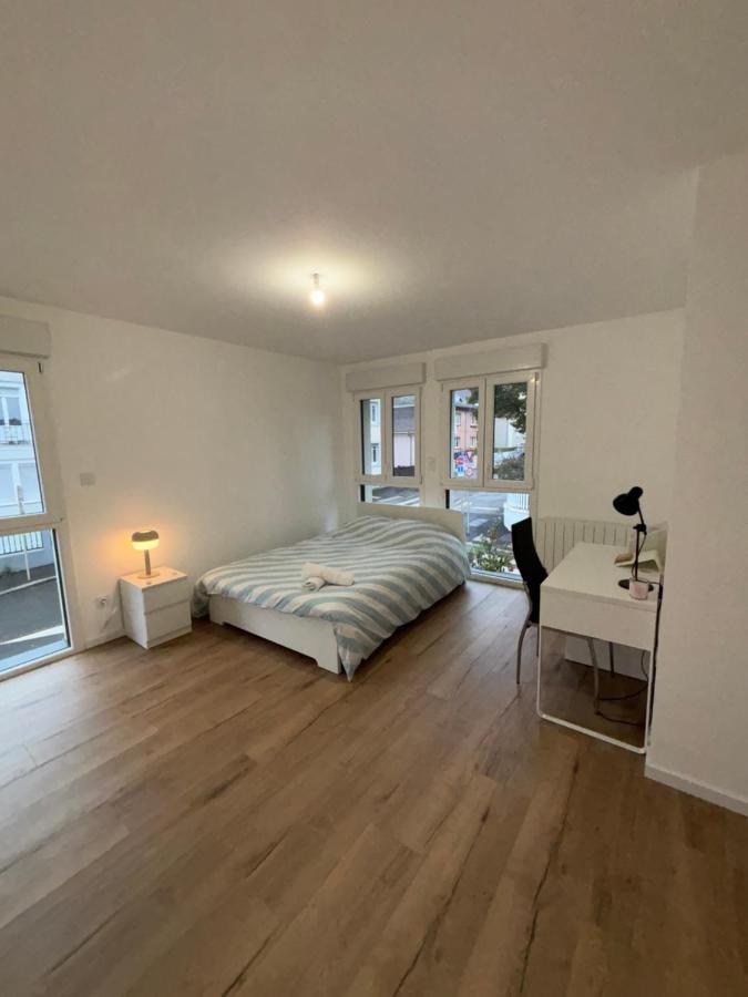 Appartement + Parking + Terrasse Mülhausen Exterior foto